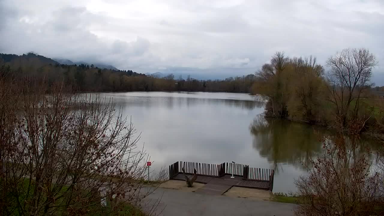 Spletna kamera Ribnik Vrbje – Žalec