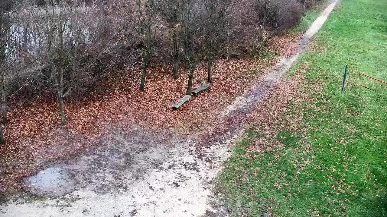 Spletna kamera Ribnik Vrbje – Žalec