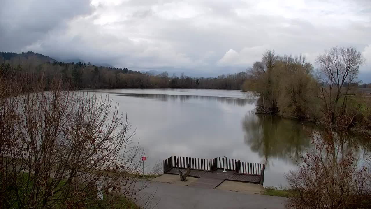 Webcam Ribnik Vrbje – Žalec