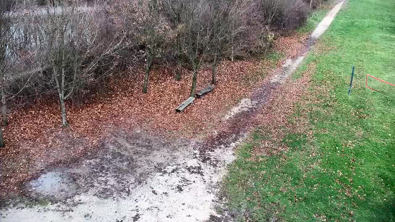 Webcam Ribnik Vrbje – Žalec