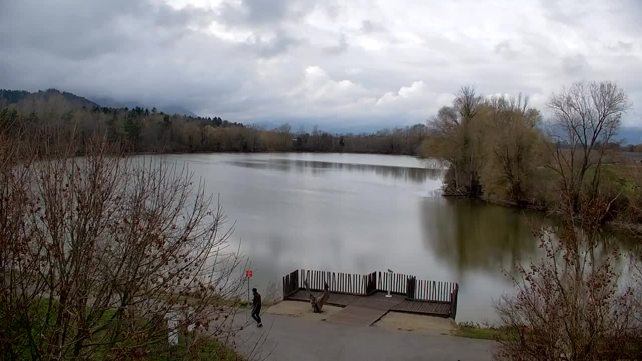 Webcam Ribnik Vrbje – Žalec