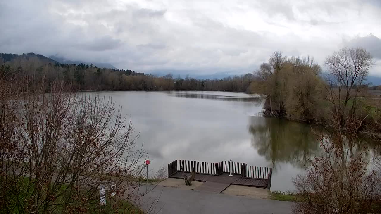 Webcam Ribnik Vrbje – Žalec