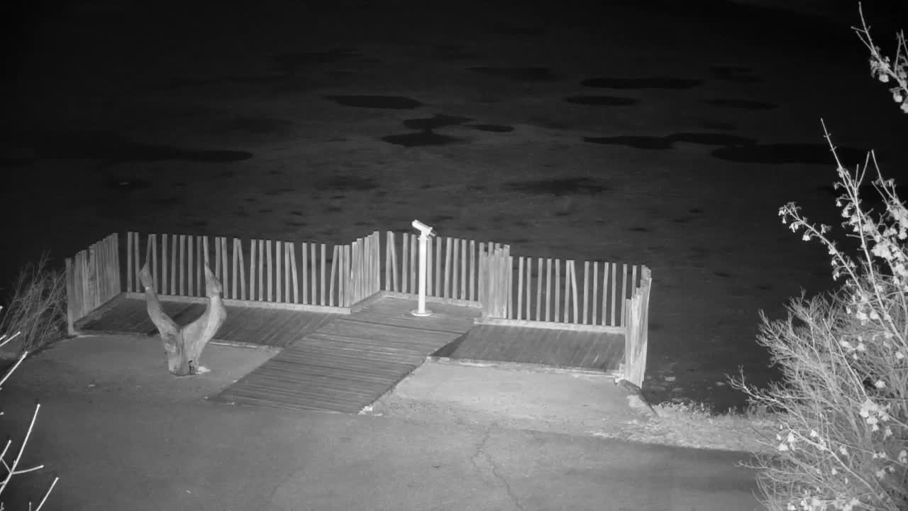 Webcam Ribnik Vrbje – Žalec