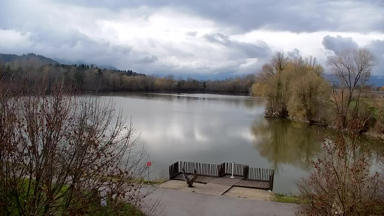 Webcam Ribnik Vrbje – Žalec