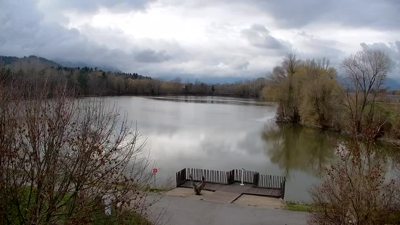 Webcam Ribnik Vrbje – Žalec