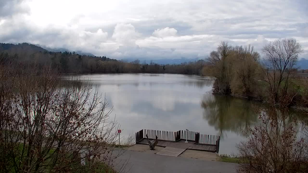 Webcam Ribnik Vrbje – Žalec