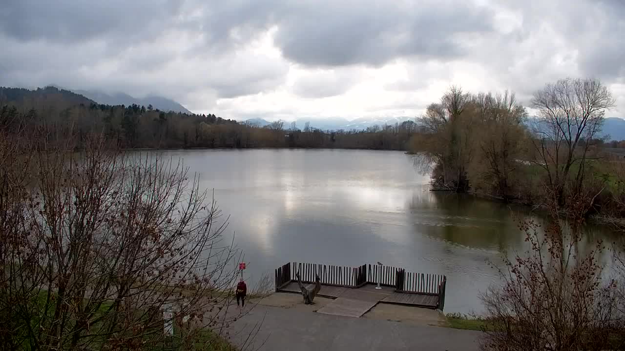 Webcam Ribnik Vrbje – Žalec