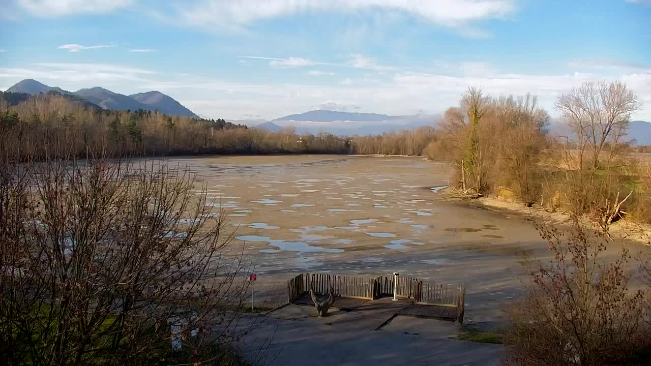 Webcam Ribnik Vrbje – Žalec