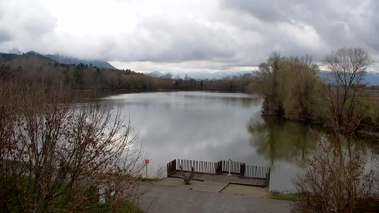 Webcam Ribnik Vrbje – Žalec