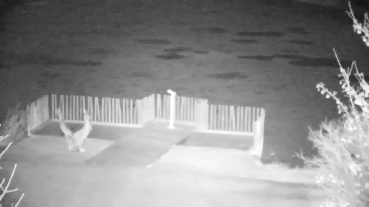 Spletna kamera Ribnik Vrbje – Žalec