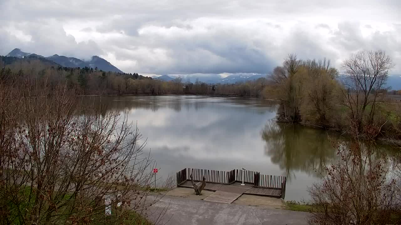 Webcam Ribnik Vrbje – Žalec