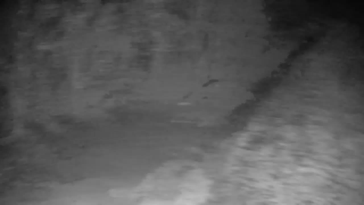 Webcam Ribnik Vrbje – Žalec