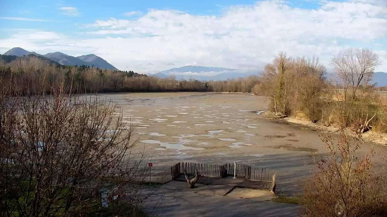 Webcam Ribnik Vrbje – Žalec
