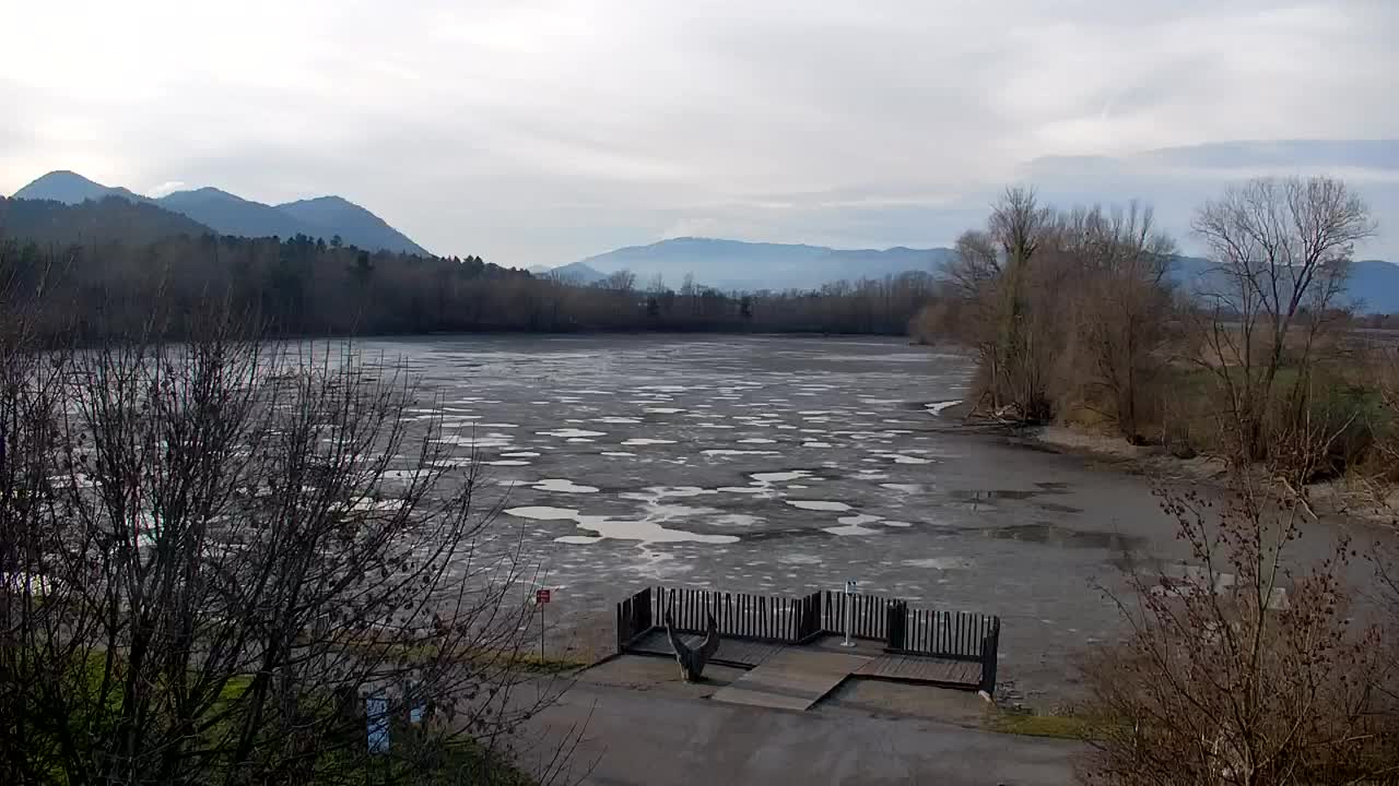 Webcam Ribnik Vrbje – Žalec