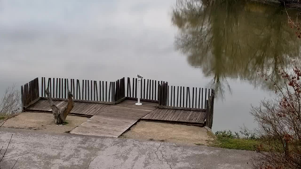 Webcam Ribnik Vrbje – Žalec