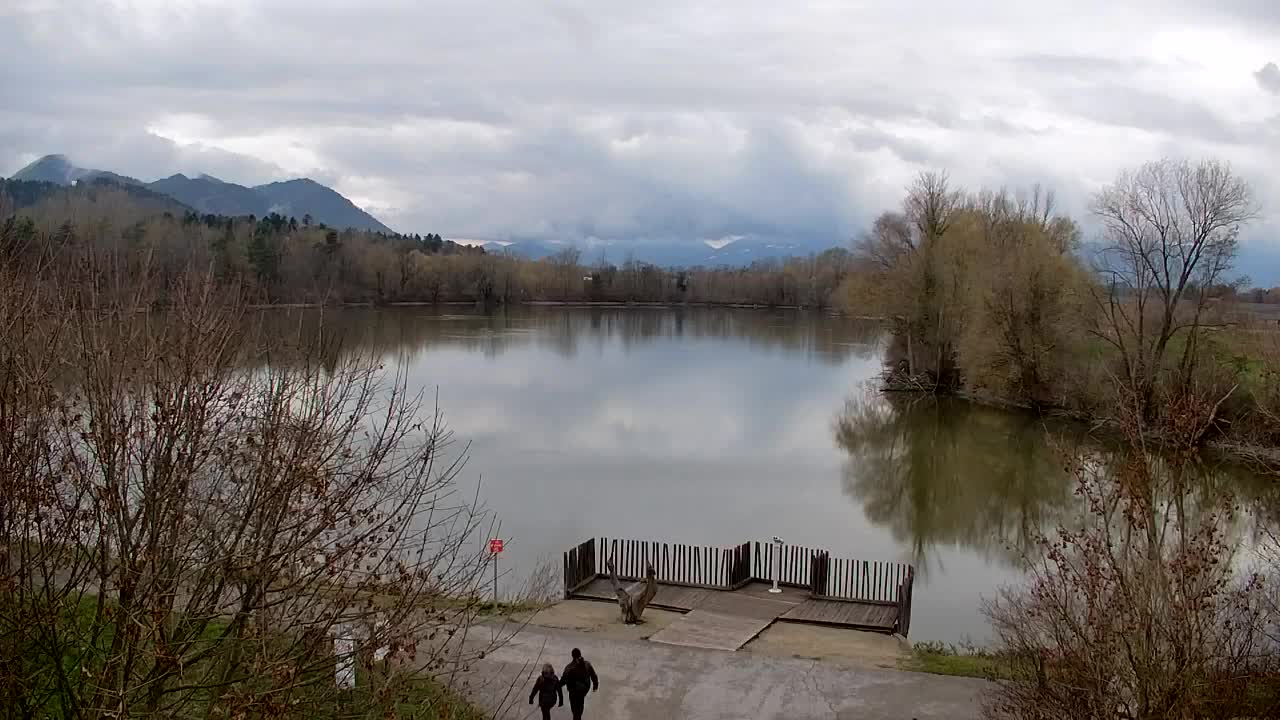 Spletna kamera Ribnik Vrbje – Žalec