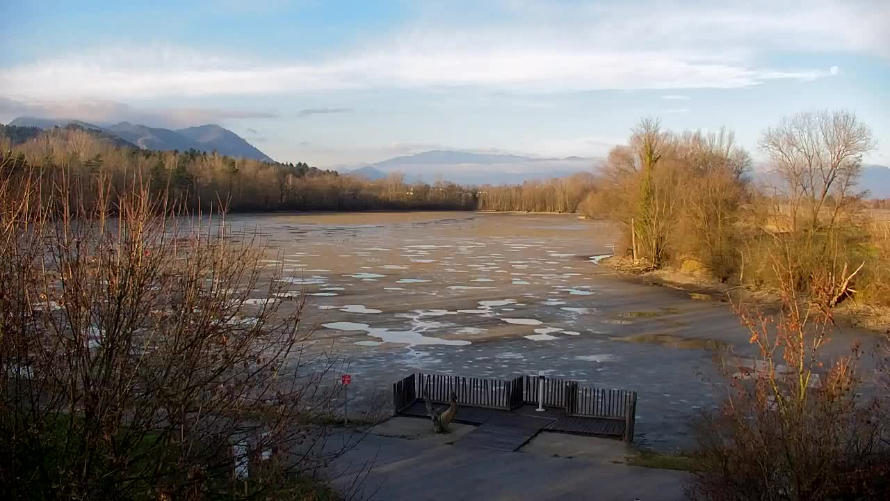 Webcam Ribnik Vrbje – Žalec