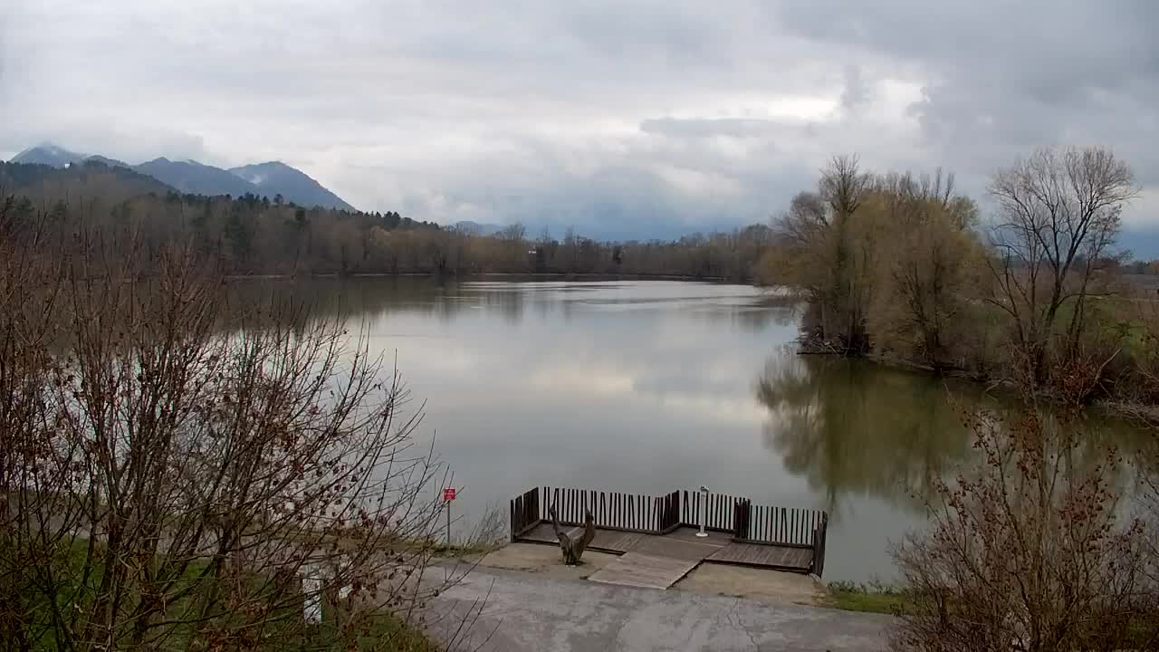 Webcam Ribnik Vrbje – Žalec