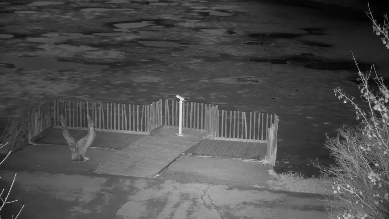 Webcam Ribnik Vrbje – Žalec