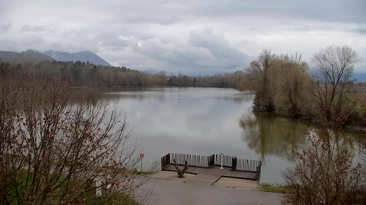 Webcam Ribnik Vrbje – Žalec