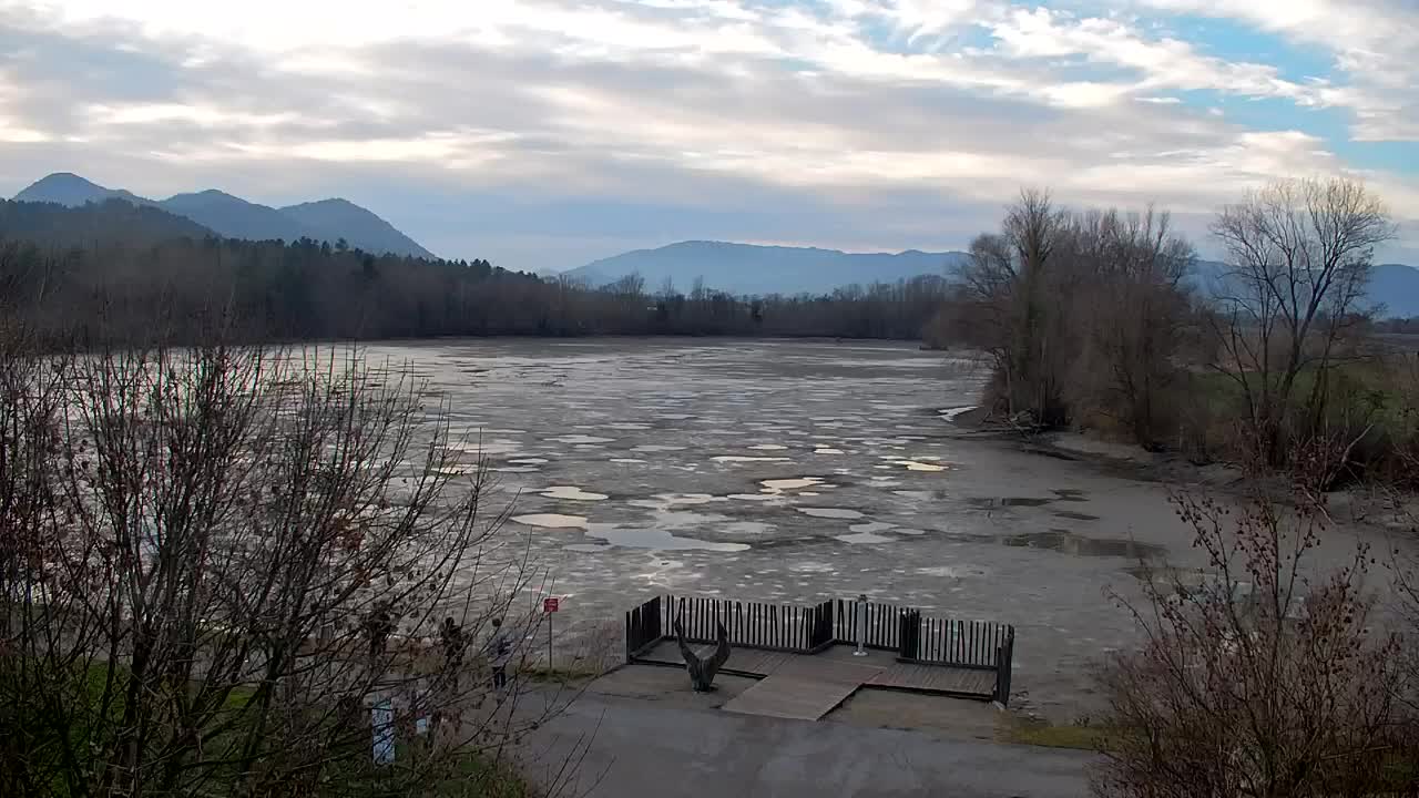 Web kamera Ribnik Vrbje – Žalec