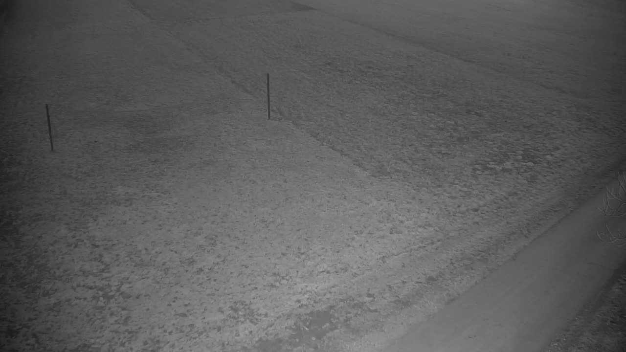 Web kamera Ribnik Vrbje – Žalec