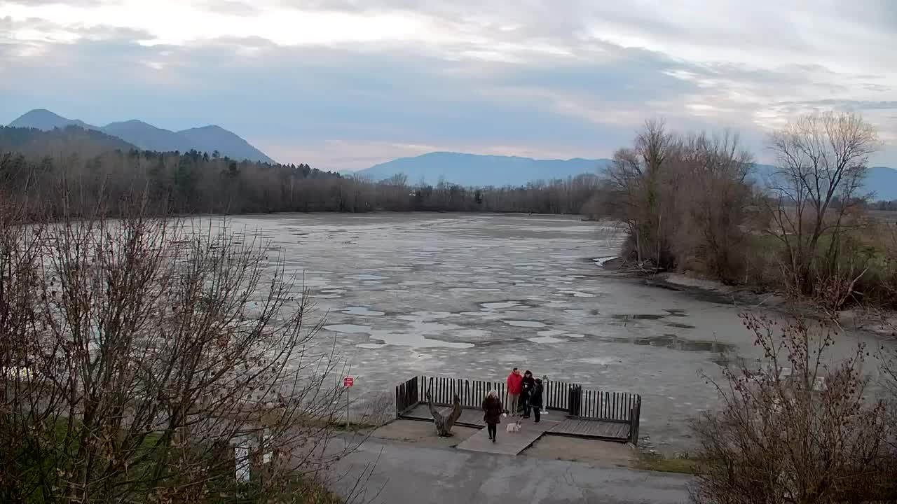 Spletna kamera Ribnik Vrbje – Žalec