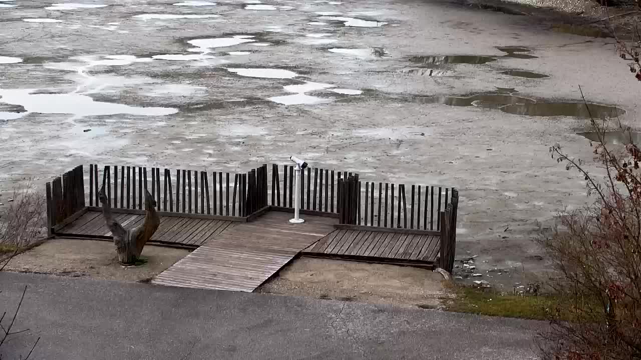 Webcam Ribnik Vrbje – Žalec