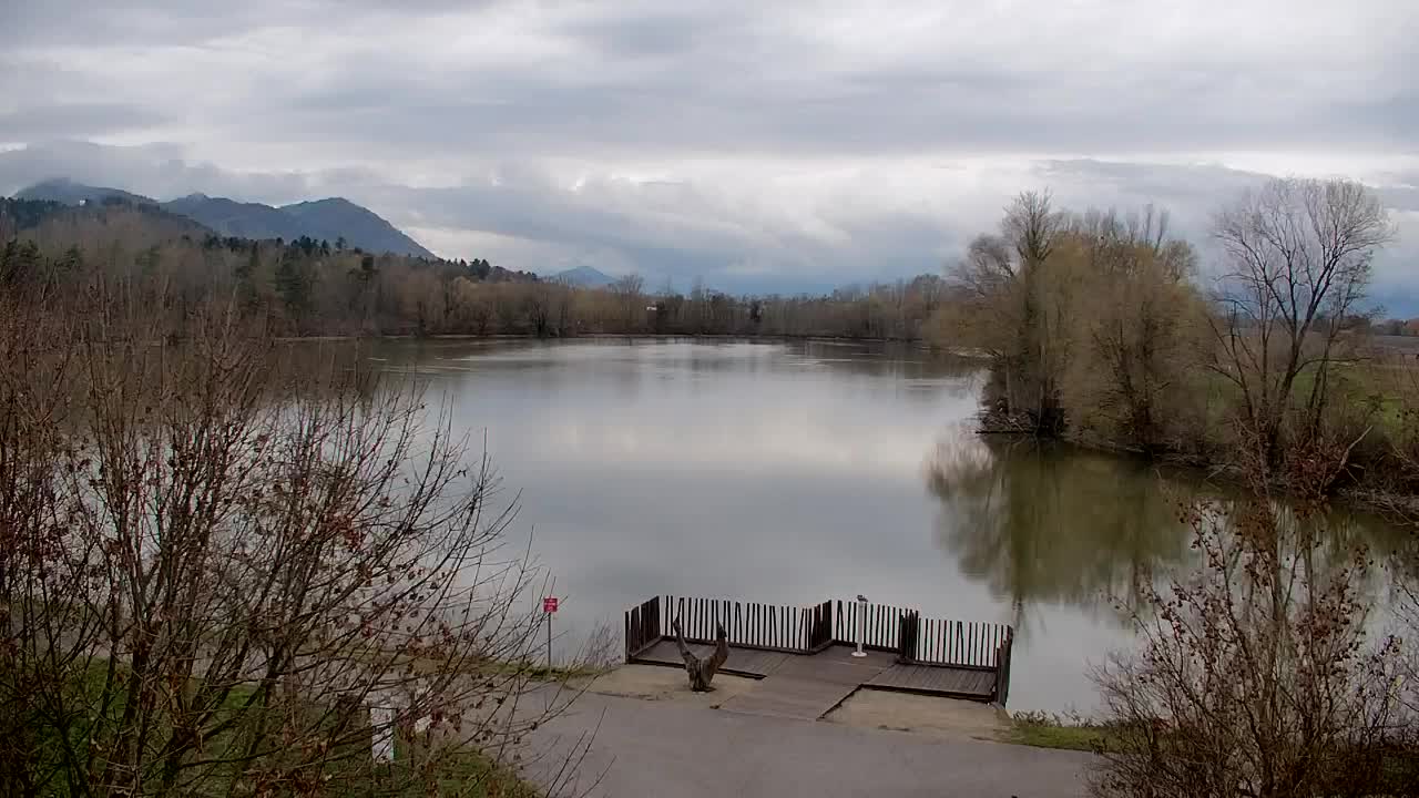 Webcam Ribnik Vrbje – Žalec