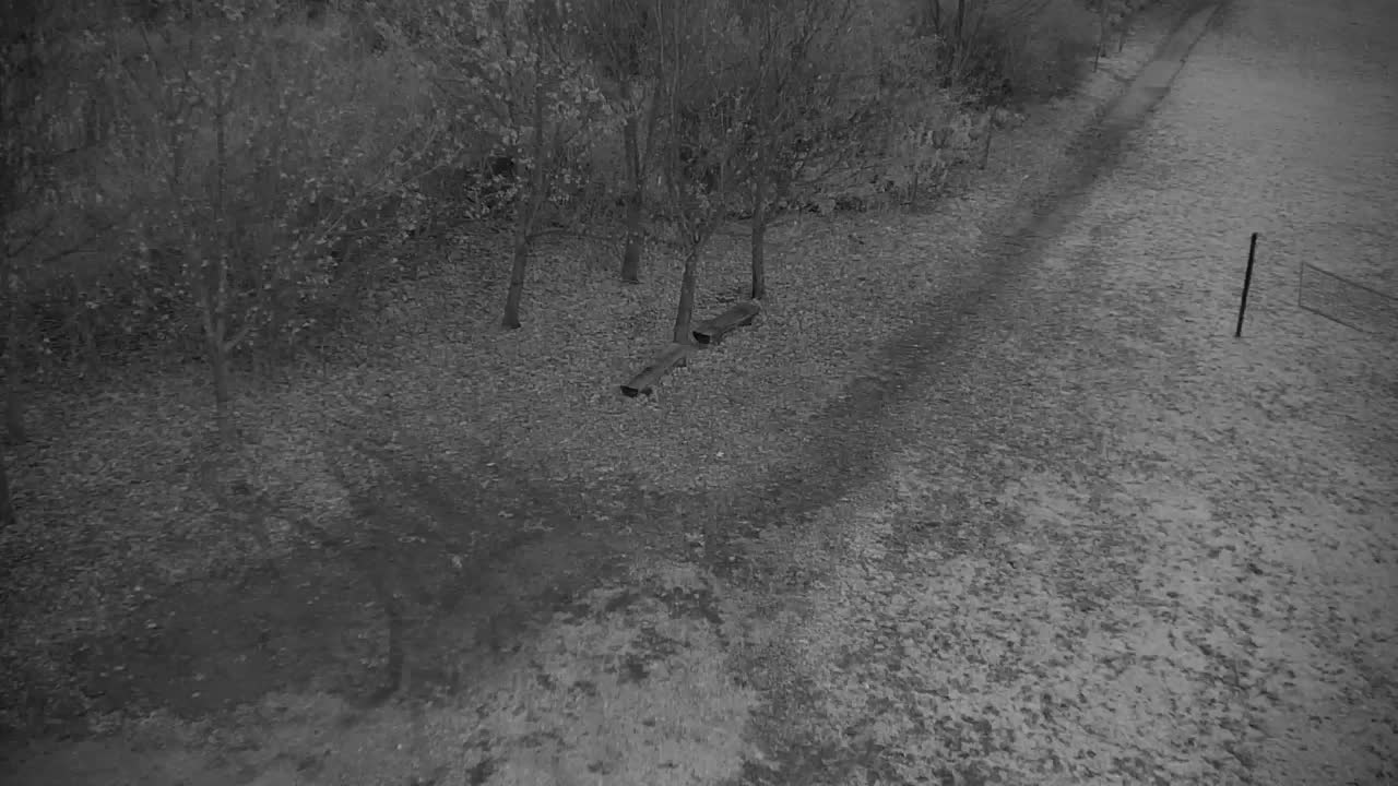 Webcam Ribnik Vrbje – Žalec