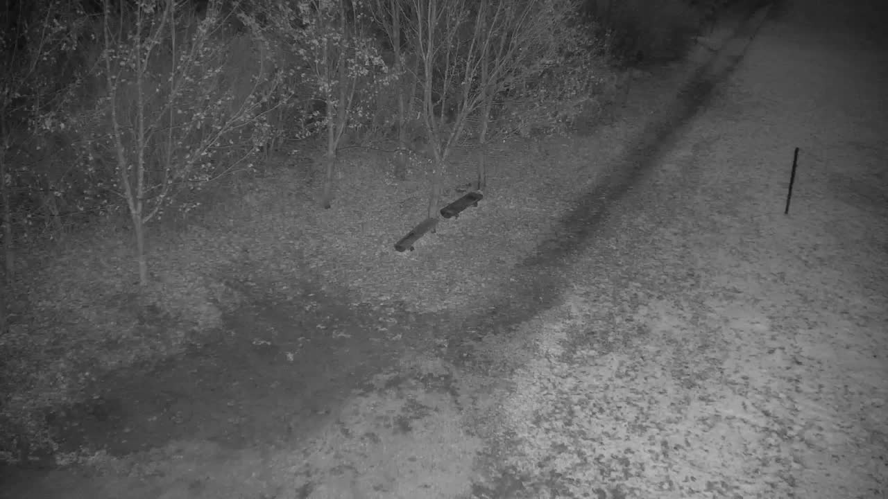 Webcam Ribnik Vrbje – Žalec