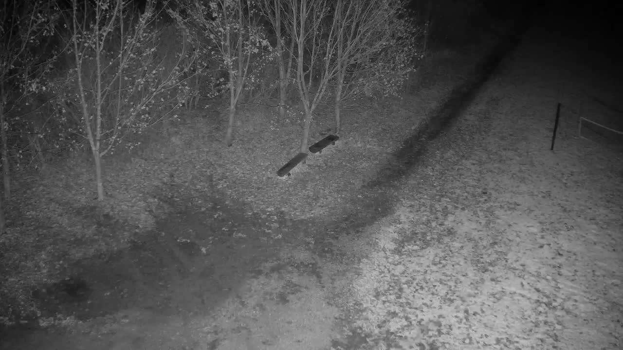 Webcam Ribnik Vrbje – Žalec