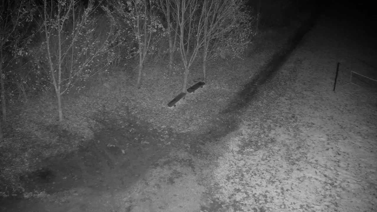 Webcam Ribnik Vrbje – Žalec