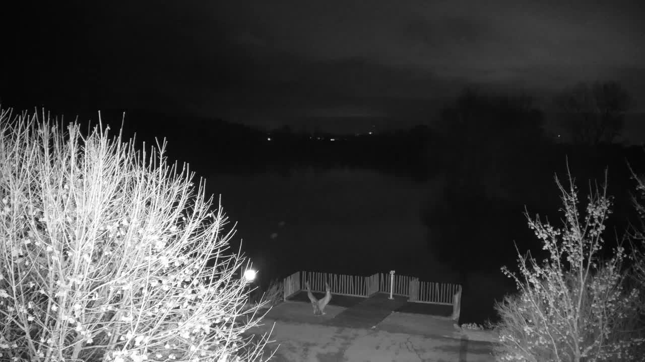 Webcam Ribnik Vrbje – Žalec