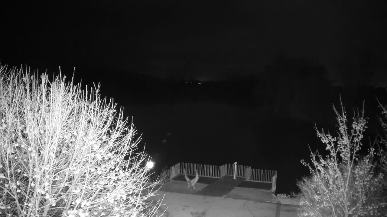 Webcam Ribnik Vrbje – Žalec