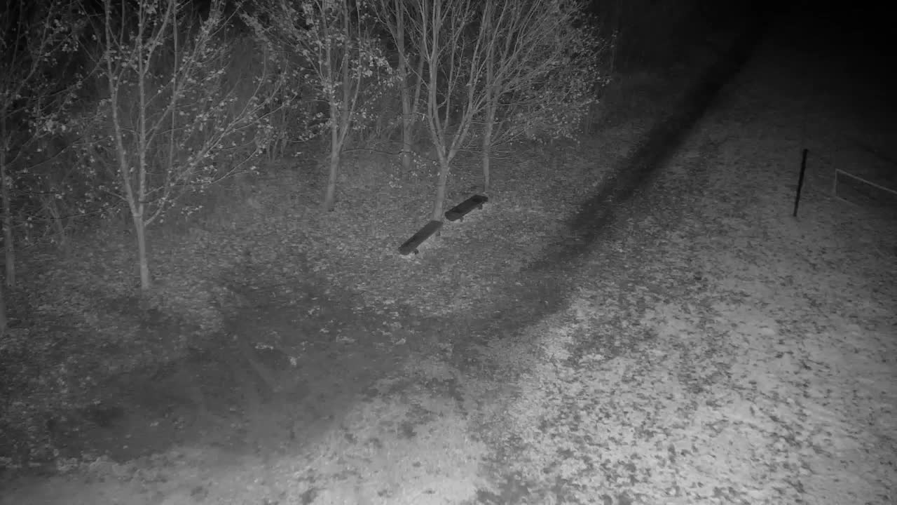 Webcam Ribnik Vrbje – Žalec