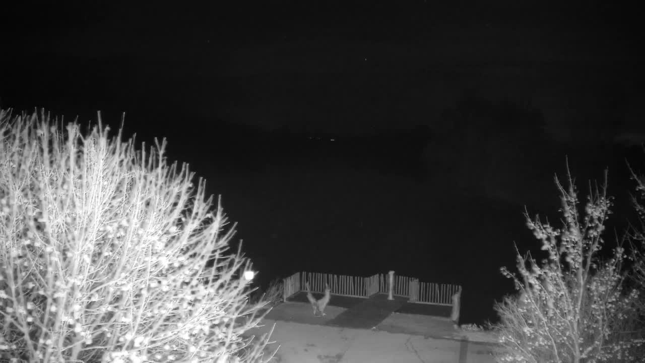 Webcam Ribnik Vrbje – Žalec