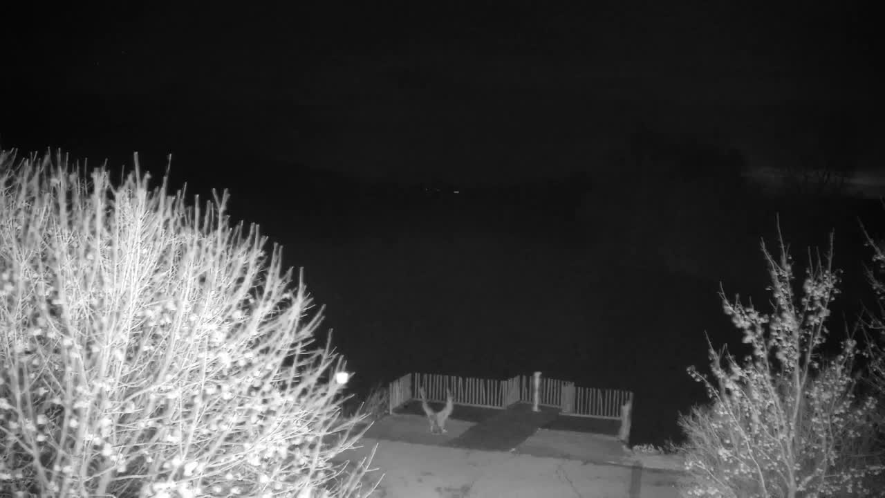 Webcam Ribnik Vrbje – Žalec