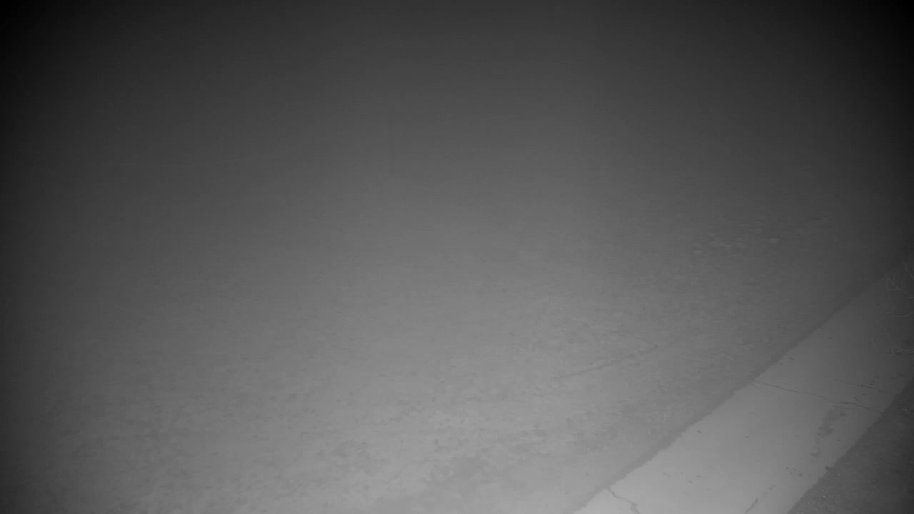 Webcam Ribnik Vrbje – Žalec