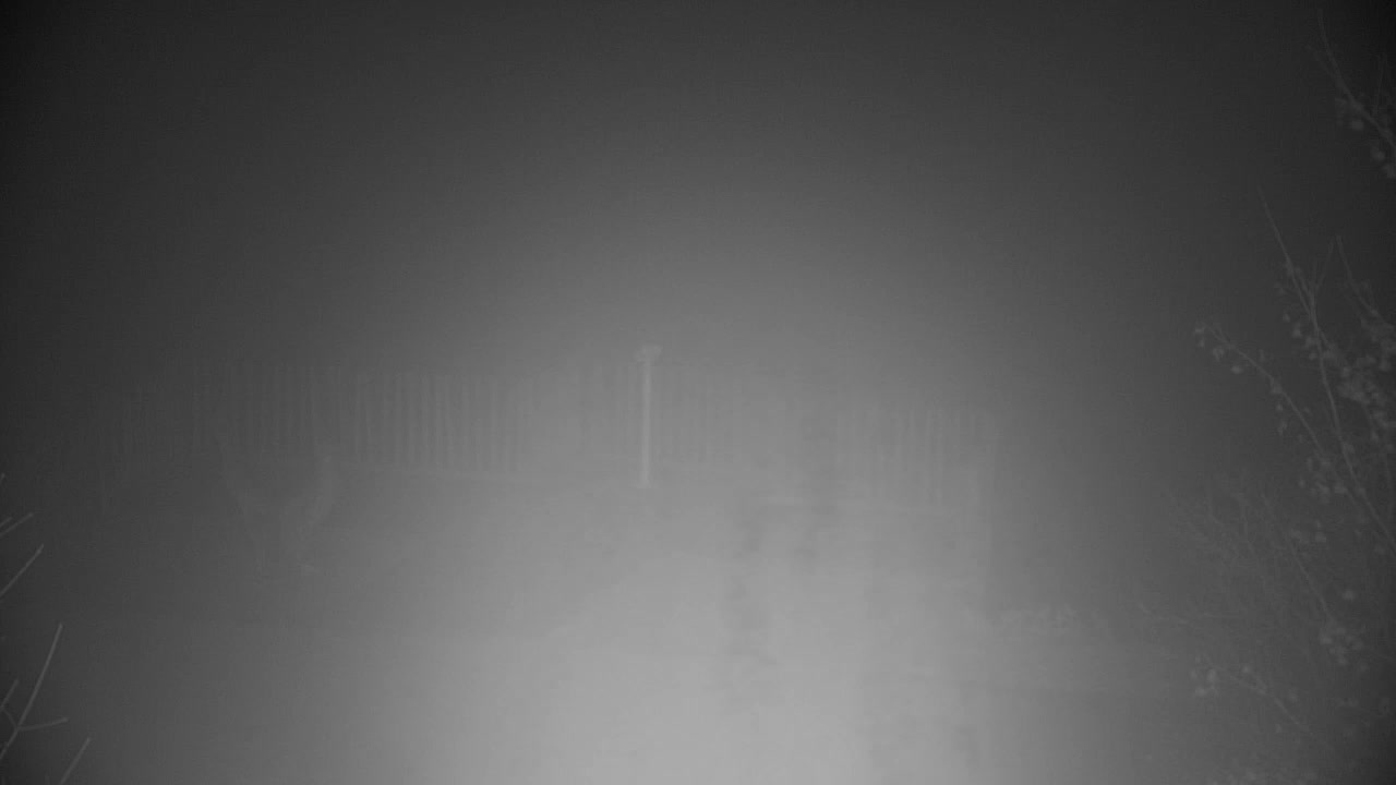 Webcam Ribnik Vrbje – Žalec