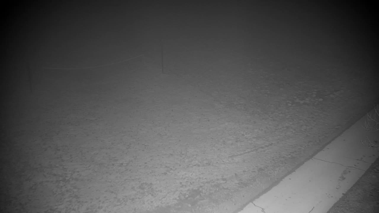 Webcam Ribnik Vrbje – Žalec