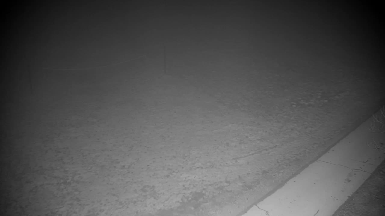 Webcam Ribnik Vrbje – Žalec