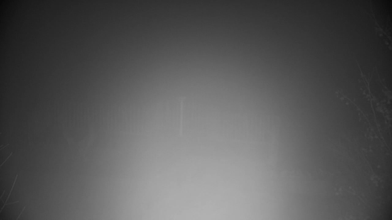 Web kamera Ribnik Vrbje – Žalec