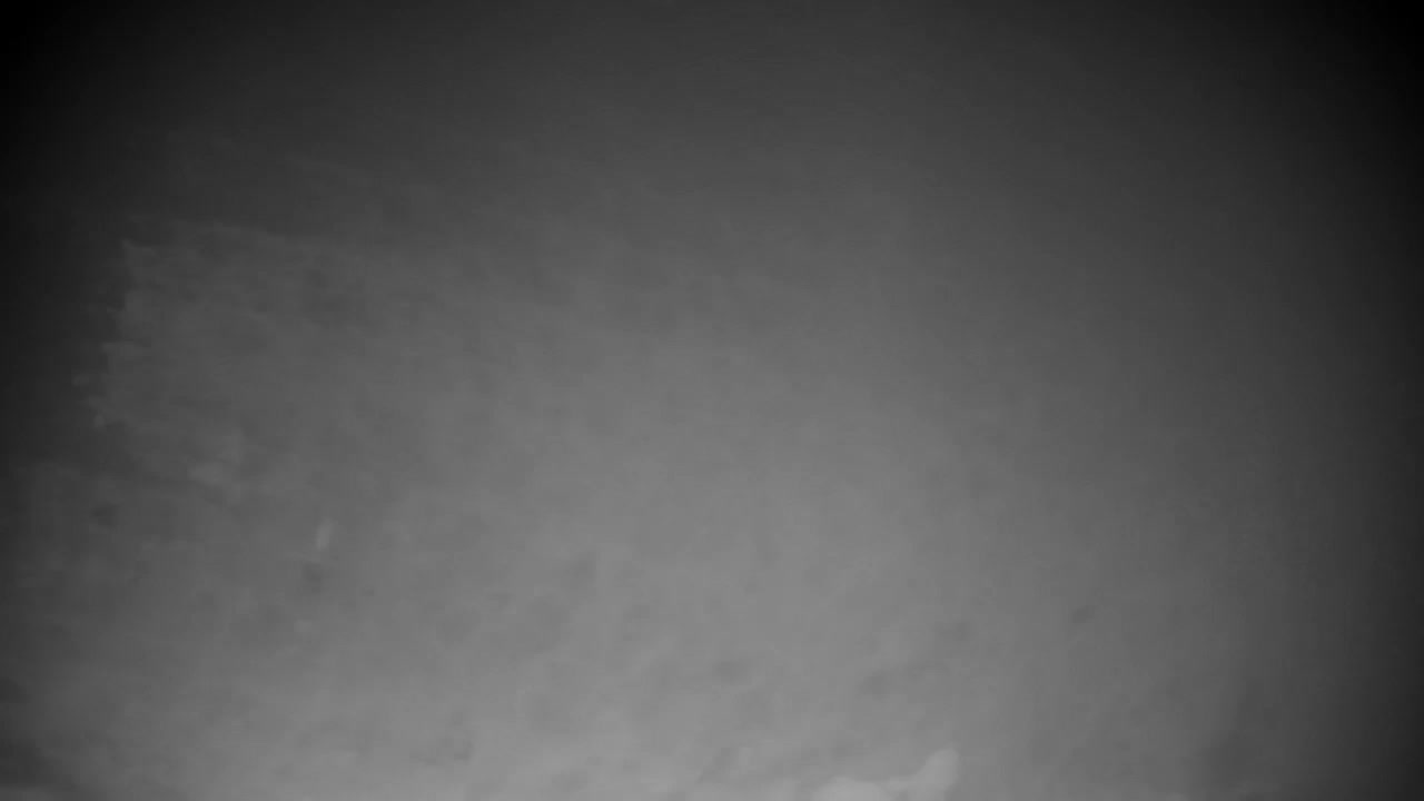 Webcam Ribnik Vrbje – Žalec