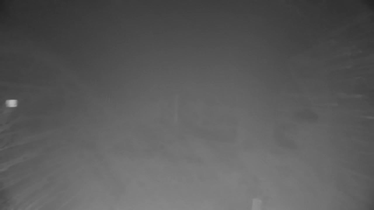 Webcam Ribnik Vrbje – Žalec