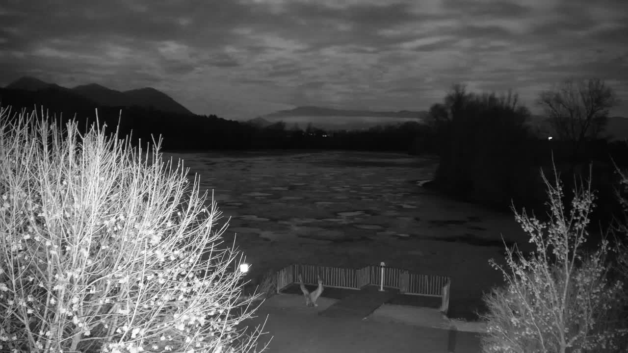 Web kamera Ribnik Vrbje – Žalec