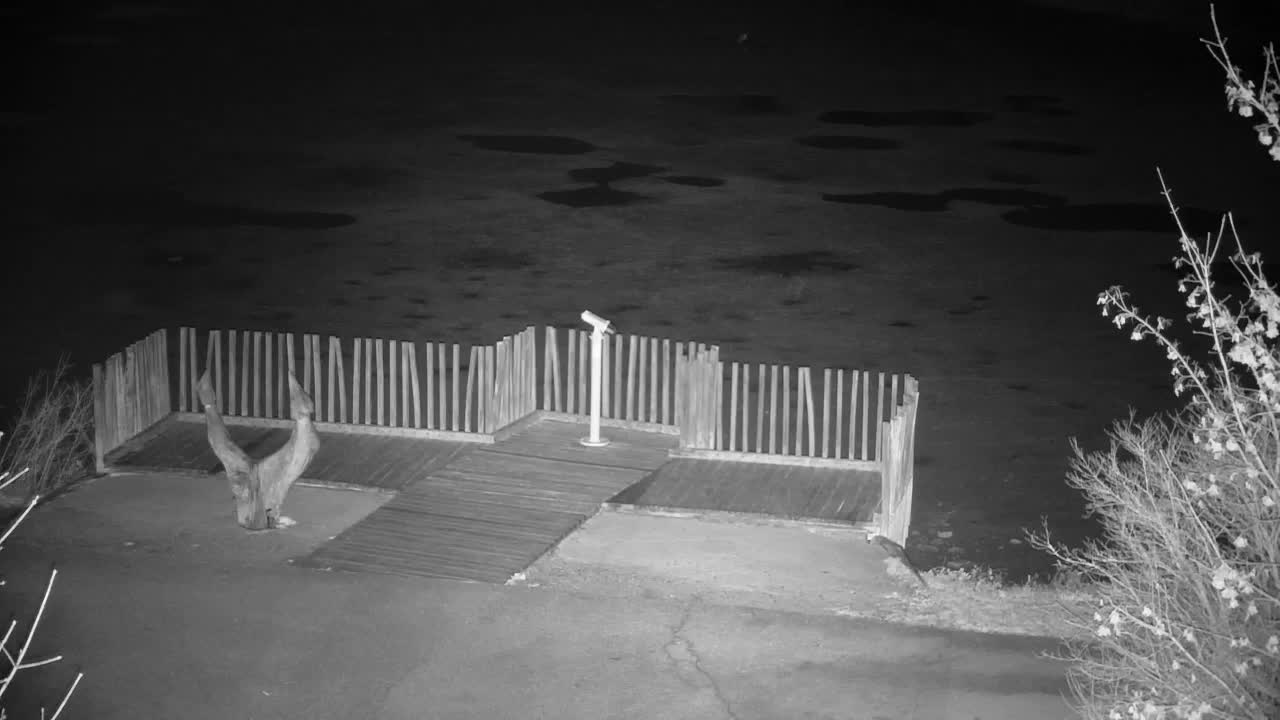 Webcam Ribnik Vrbje – Žalec