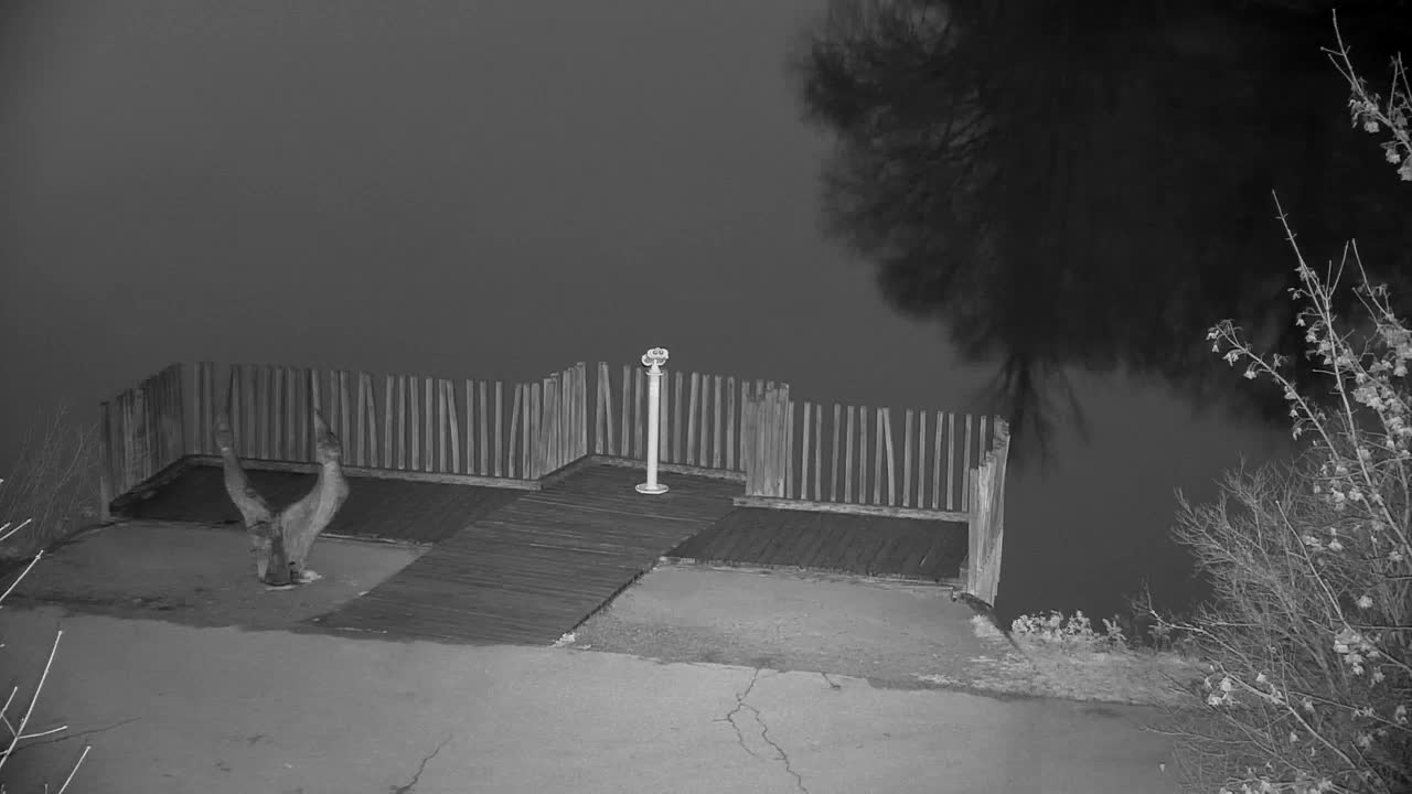 Webcam Ribnik Vrbje – Žalec