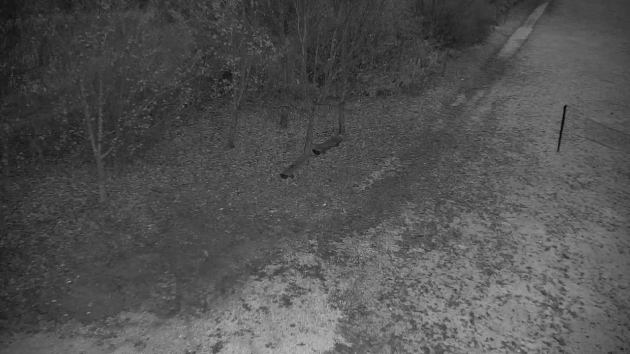 Webcam Ribnik Vrbje – Žalec