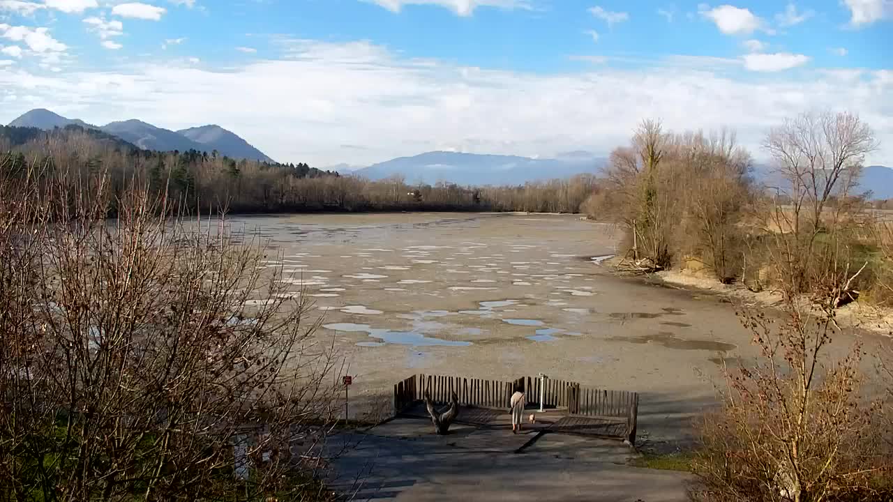 Webcam Ribnik Vrbje – Žalec